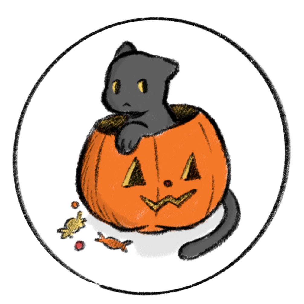 pumpkin cat pin