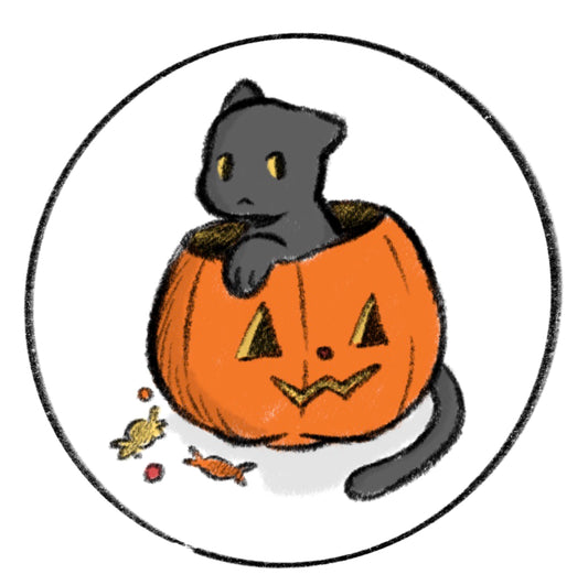 pumpkin cat pin